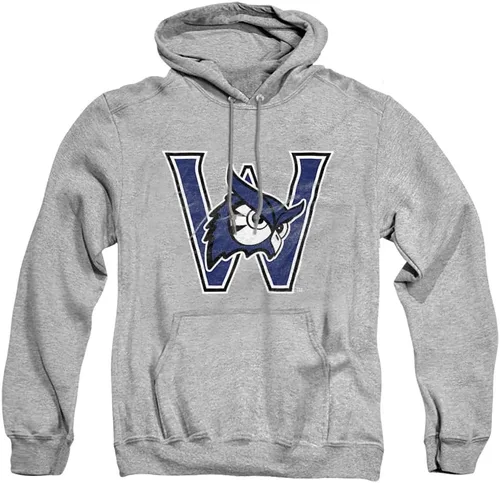 Vista 184 de Distressed College Primary Logo Adult Pullover Hoodie Collection 1 Universidad Estatal de Albany