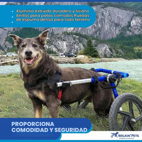 Vista 7 de Silla de ruedas de perro para perros pequeños, 26 a 69 libras, de Walkin' Wheels, 5, Azul