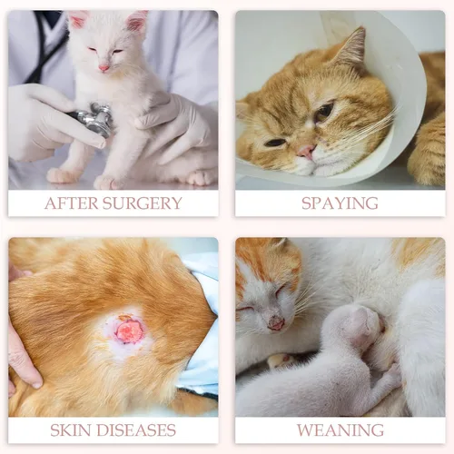 Vista 6 de ANWA Traje de Recuperación para Gatos - Mono transpirable para gatos hembras después de la cirugía, traje de recuperación quirúrgica para gatitos