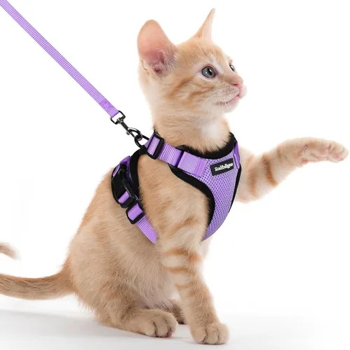 Vista 23 de rabbitgoo Cat Harness and Leash Set, Escape Proof Vest, XXS, Berry Pounce Soft Breathable Mesh, No-choke Adjustable Fit, Snap Buckles, Sturdy