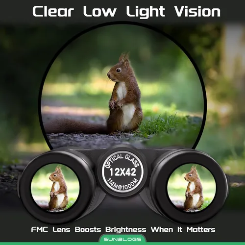 Vista 5 de Prismáticos HD de 12 x 42 pulgadas para adultos de alta potencia, prisma BAK4 impermeables para observación de aves, caza, viajes, senderismo y Negro