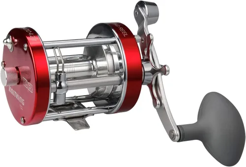 Vista 13 de KastKing Rover Round Baitcasting Fishing Reel, Perfect Conventional Reel for Catfish, Salmon/Steelhead, Striper Bass and Inshore Saltwater Fishing