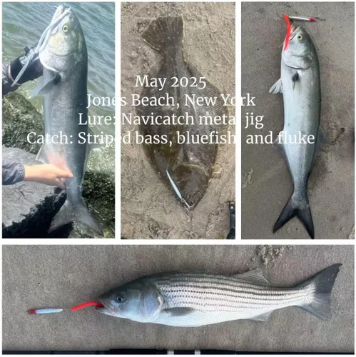 Vista 7 de Señuelos de pesca de agua salada, plantillas de pesca, cucharas de pesca para lubina, pompano, caballa española, pescado azul