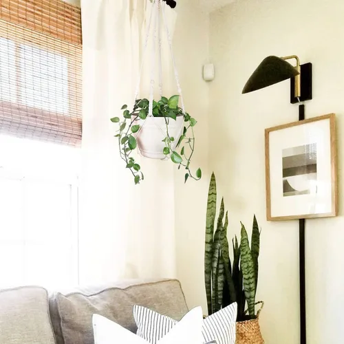 Vista 7 de Bouqlife Perchas para plantas de macramé de 43 pulgadas, grandes para macetas de hasta 12 pulgadas, extra largas con ganchos de lazo resistentes