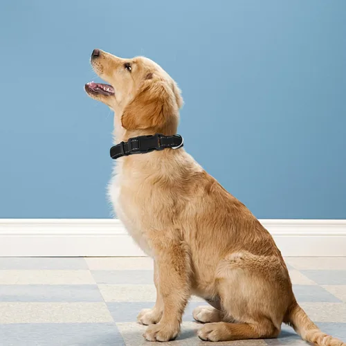 Vista 2 de Collar reflectante para perro, ajustable de neopreno suave acolchado de nailon para mascotas con hebilla para cachorros y perros pequeños, gatos