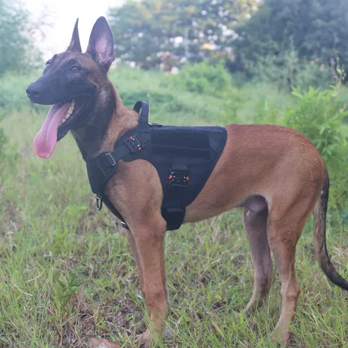 Vista 2 de ICEFANG Arnés táctico para perro con 4 hebillas de metal, chaleco, equipo para transportar carga, ligero y modular para perro con asa, sin correa