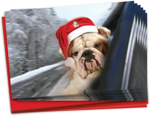 Vista 7 de NobleWorks Paquete a granel de 36 tarjetas de felicitación divertidas de Navidad con sobres, tarjetas divertidas en caja para perros y mujeres