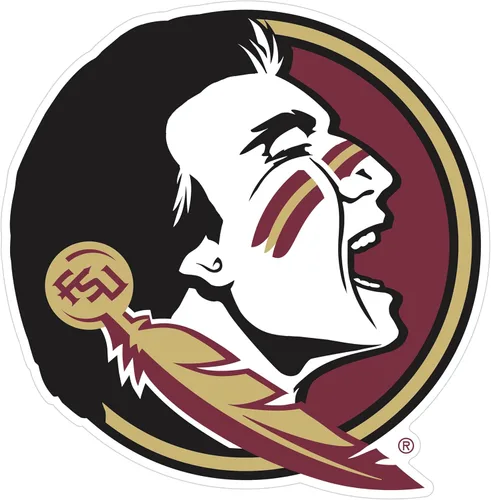 Vista 10 de NCAA, imán con logotipo, 8 pulgadas