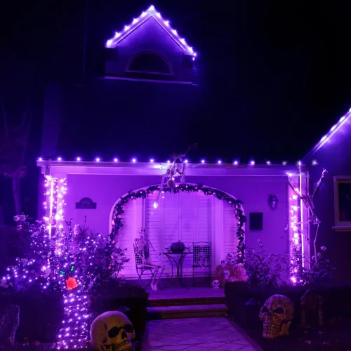 Vista 7 de Luces de Navidad Moradas G15 Luz de Globo en Cadena 50 LED 4.1m Enchufe Luces de Hadas Luces de Árbol de Halloween para Uso en Interiores y Púrpura