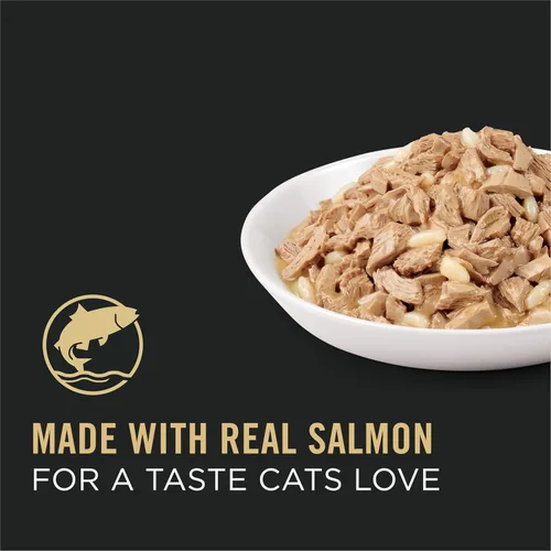 Vista 3 de Plan alimento Purina Pro húmedo para gatos, en lata, 24