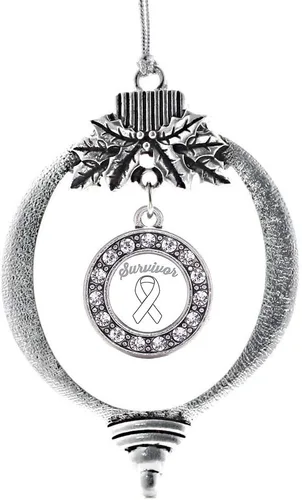 Vista 649 de Inspired Silver - Adorno de cromosoma 21 con dije de círculo de plata con joyas de circonita cúbica