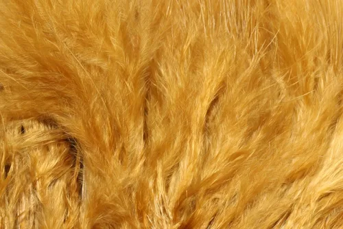 Vista 6 de Hareline Fly Tying X-Select Marabou – Premium Marabou Feathers for Fly Tying Streamers, Woolly Buggers & Leeches