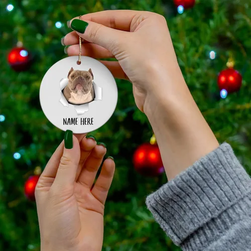 Vista 3 de Personalized Name American Bully Blue Fawn Christmas Tree Ornaments Circle Ceramic Decorations Gifts for Dog Lovers Owners