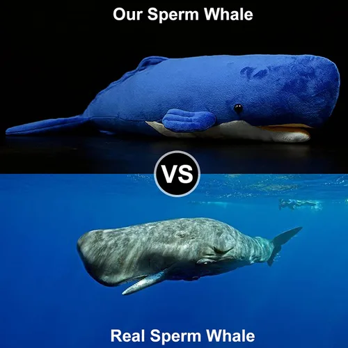 Vista 6 de Juguete de peluche realista de ballena espermática – Juguetes de peluche de ballena espermatozoides largos y realistas, súper suaves, muñecos