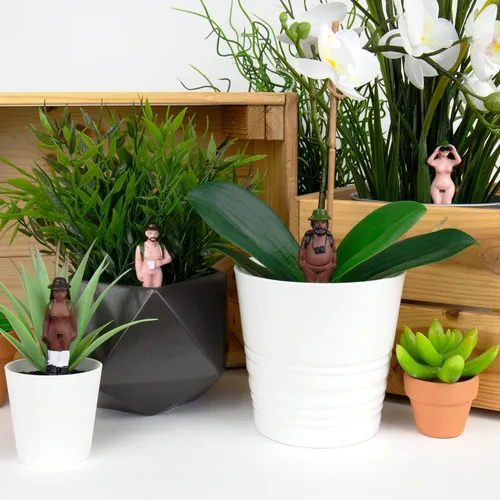 Vista 2 de Gift Republic Naked Ramblers - Juego de 4 divertidas estacas de jardín para plantas de interior, suculentas y macetas de interior, regalo novedoso