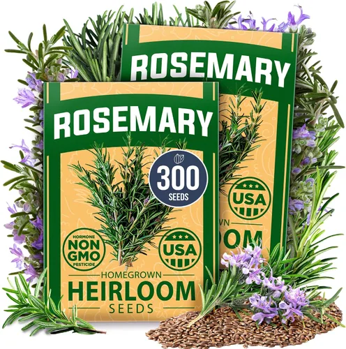 Vista 17 de HOME GROWN - Semillas de zinnia rosadas – 600 Zinnias Luminosa de 0.02 oz, semillas de flores anuales fáciles de cultivar para plantar al aire libre