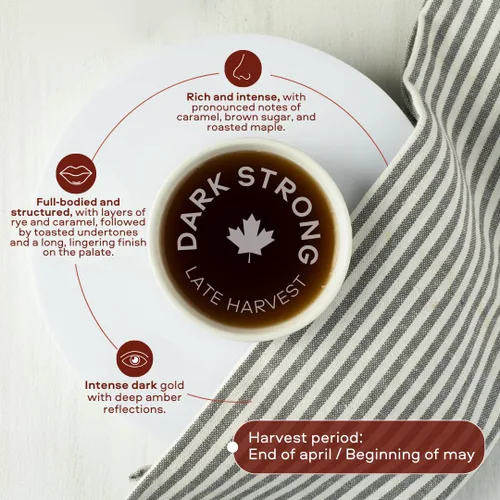 Vista 3 de Escuminac jarabe de arce – Orgánico puro canadiense, grado A, perfecto para panqueques, postres y bebidas