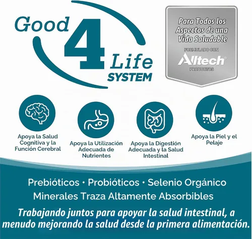 Vista 2 de NutriSource Alimento seco para perros sin granos, pollo y guisantes, 26 libras