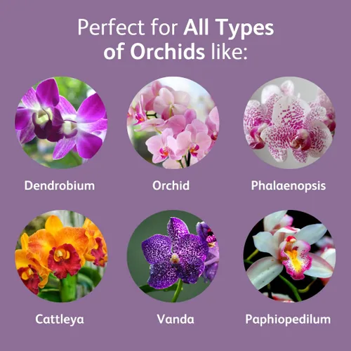 Vista 4 de Chrysal Gotas de Alimento para Orquídeas — Cuidado de Orquídeas — Un Paquete para un Suministro de un Año — Alimento Floral Concentrado para Todas