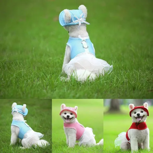 Vista 2 de Leconpet Chaleco arnés de malla para perros pequeños y medianos, transpirable, cómodo, estilo elegante, azul, XS