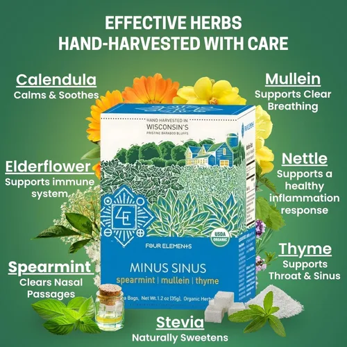 Vista 5 de Four Elements Minus Sinus Tea 16 bolsas (1.2 onzas), menta verde, sin cafeína Té de hierbas de gordolobo, ortiga, flor de saúco, stevia