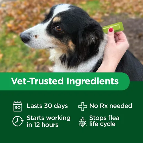 Vista 5 de TevraPet Activate II Prevención de pulgas y garrapatas para perros, 4 unidades, perros pequeños de 4 a 10 libras, gotas tópicas, tratamiento
