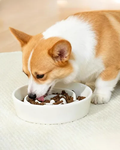 Vista 2 de TRUVIC Recipientes de alimentación lenta para perros de cerámica, tazón de rompecabezas de alimentación lenta de 1.5 tazas para perros que comen