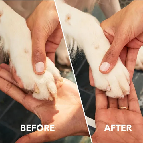 Vista 4 de Dremel PawControl 7760-PGK Lijadora y Recortadora de Uñas para Perros - Kit de Herramientas de Aseo para Mascotas Inalámbrico y Recargable - Seguro