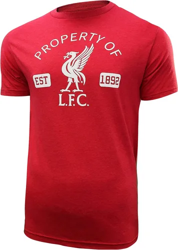 Vista 13 de Icon Sports Liverpool F.C. - Sudadera con capucha