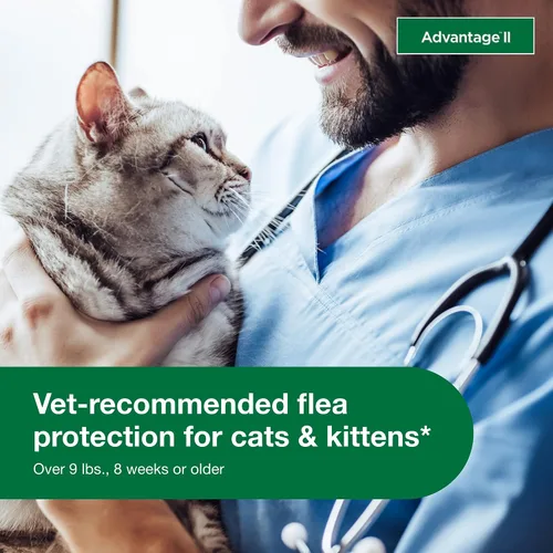 Vista 3 de Advantage II Tratamiento y prevención de pulgas recomendado por veterinarios para gatos grandes Gatos de más de 9 libras Suministro para 3 meses