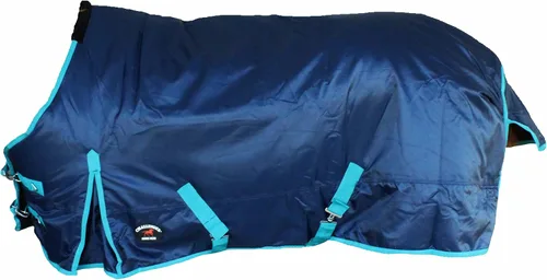 Vista 10 de Challenger Manta de invierno de peso medio impermeable 840D Horse Turnout Borgoña 59EE01