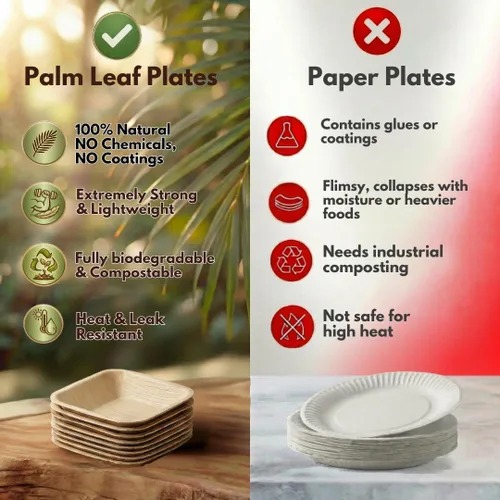 Vista 5 de Mini cuencos de hoja de palma de 3 pulgadas para salsas, aderezos para ensaladas, pequeños vasos desechables para salsa de soja, paquete de 50