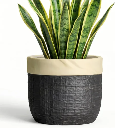 Vista 31 de Macetas de cerámica para plantas, maceta de 6 pulgadas para plantas suculentas de interior, macetas redondas con orificio de drenaje, macetas Azul