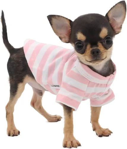 Vista 15 de LOPHIPETS Camiseta de perro 100% algodón para perros pequeños Taza de té Chihuahua Yorkie Ropa para cachorros - Azul/XXS