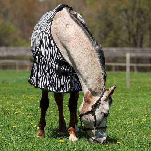 Vista 3 de Country Pride Sábana de malla suave con estampado de cebra para caballos, protección contra insectos de verano, doble hebilla frontal ajustable