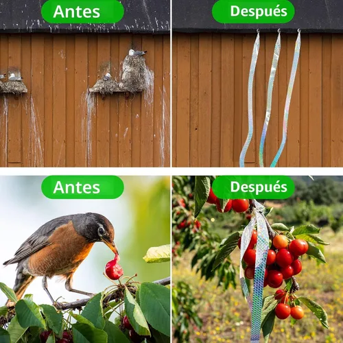 Vista 4 de Benasan [492 pies] Cinta eficaz para asustar a los pájaros, reflectores reflectantes para mantener a las palomas, halcones, pájaros carpinteros