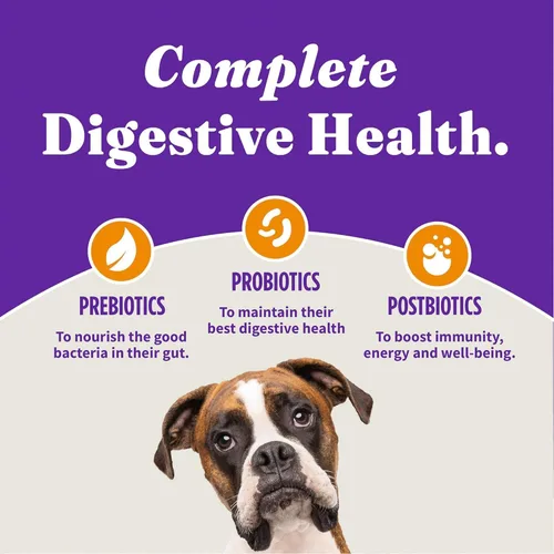 Vista 6 de Halo Holistic, comida para perros sin jaula con pollo libre y arroz integral, fórmula de cereales saludables, comida seca para perros, salud