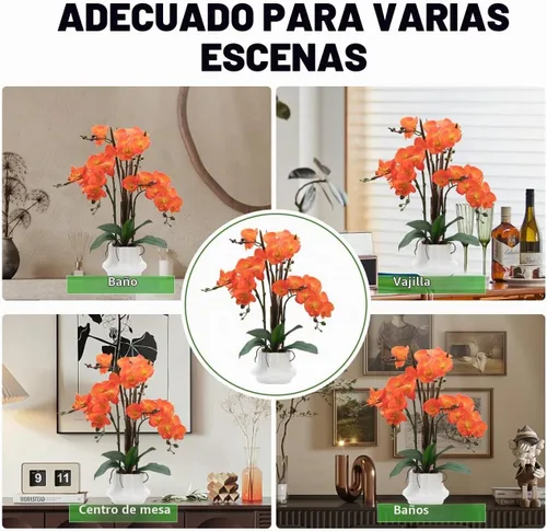 Vista 4 de CXGS Planta de orquídeas artificiales de 20.9 pulgadas, orquídeas artificiales de tacto real en jarrón de cerámica, arreglo floral de Phalaenopsis