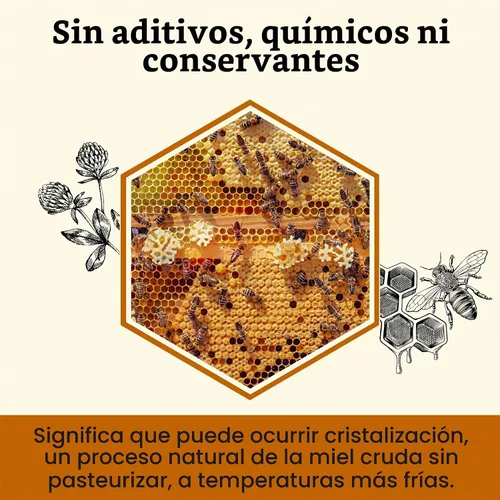 Vista 6 de Miel Cruda de Acacia Altay - 100% Pura, Sin Filtrar, Sin Pasteurizar, De Origen Ético - Frasco de Vidrio, 908g / 35.2oz