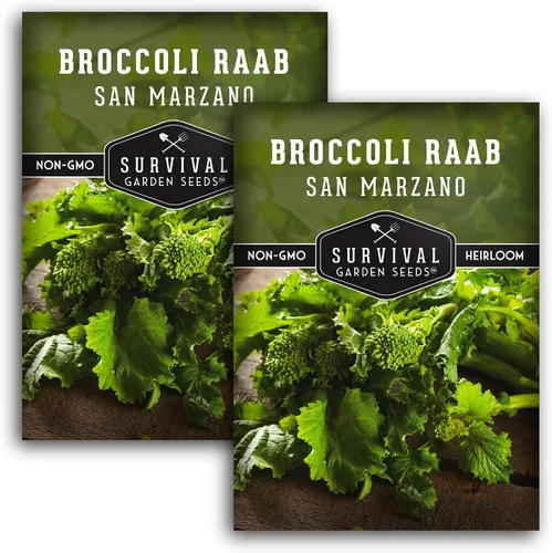 Vista 10 de San Marzano Raab - Semillas de brócoli Rabe para plantar, variedad italiana de rapiña, verduras de temporada fría de rápido crecimiento, favorito