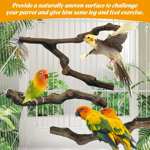 Vista 6 de kathson 3 piezas de perca natural de loro para jaula de madera para pájaros de uva, palito de pájaro de uva, periquitos, ramas de pie, juguete