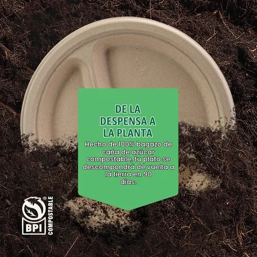 Vista 6 de Platos de papel desechables 100% compostables, 3 compartimentos, [125 unidades] - {Sin PFAS} - {Certificado BPA} - [10 pulgadas] Bandejas