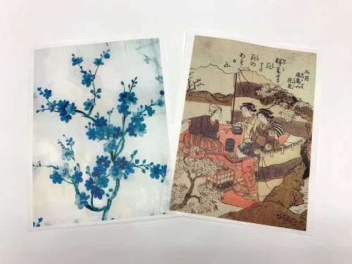 Vista 5 de Yasutomo Papel Asagami, 20 hojas, altura de 10.75 pulgadas