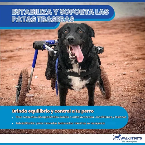 Vista 6 de Silla de ruedas de perro para perros pequeños, 26 a 69 libras, de Walkin' Wheels, 5, Azul