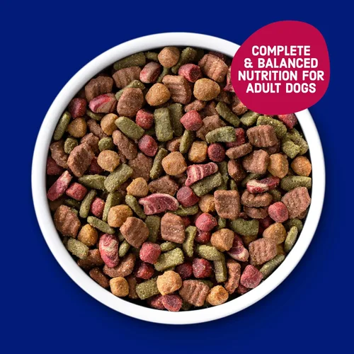 Vista 3 de Kibbles 'n Bits Bistro - Alimento seco para perros, sabor a carne asada al