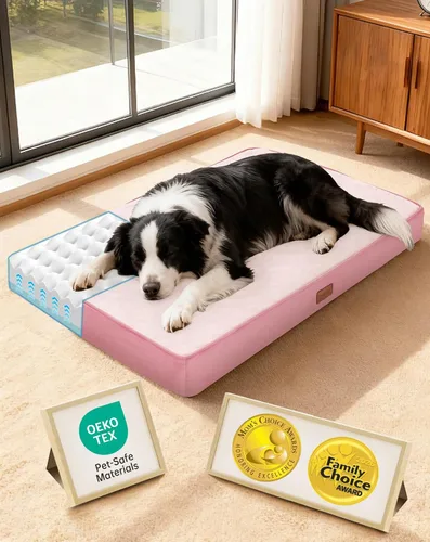 Vista 16 de OhGeni Cama ortopédica para perros pequeños, espuma viscoelástica 01-gris