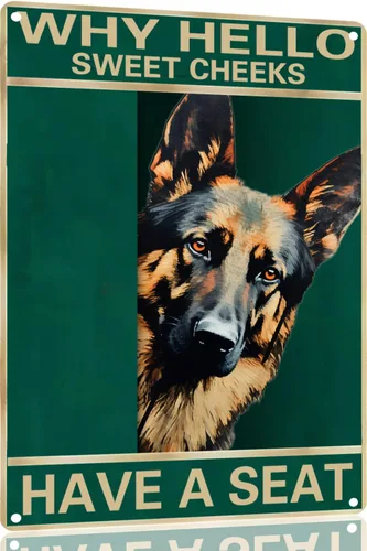 Vista 11 de Labrador Retriever - Letrero de metal con texto en inglés "Why Hello Sweet Cheeks Have A Seeks Have A Seeks" (1683)