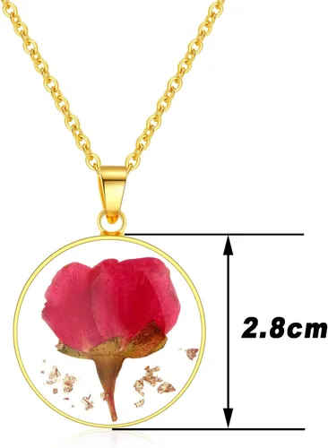 Vista 77 de Forget-Me-Not and Queen Anne's Lace Pressed Wildflower Necklace Birth Month Real Flower Necklace Gold/Silver Pressed Flower Jewelry