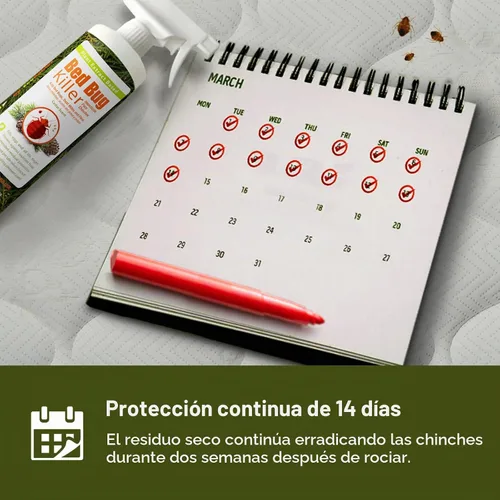 Vista 5 de Eliminador de plagas de cama Ecoraider en aerosol, 16 onzas, verde + no tóxico, mata 100% con protección extendida