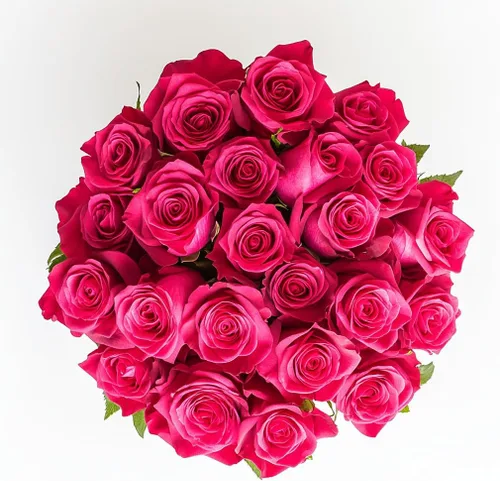 Vista 43 de GlobalRose Ramo de 50 rosas surtidas, rosas de origen responsable, flores frescas, ramo fresco de flores seleccionadas a mano para el día